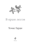 В краю лесов — фото, картинка — 1