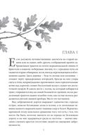 В краю лесов — фото, картинка — 3