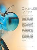 Большая книга о насекомых. 1001 фотография — фото, картинка — 13