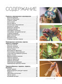 Большая книга о насекомых. 1001 фотография — фото, картинка — 3