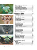 Большая книга о насекомых. 1001 фотография — фото, картинка — 4