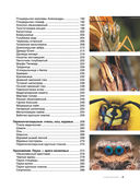 Большая книга о насекомых. 1001 фотография — фото, картинка — 5