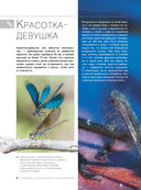 Большая книга о насекомых. 1001 фотография — фото, картинка — 8