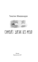 Самолёт улетит без меня — фото, картинка — 1