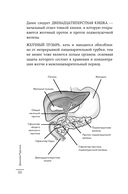 Как понять свой ЖКТ. Распознать симптомы, снизить тревогу, предупредить опасные заболевания — фото, картинка — 18