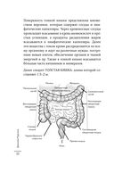 Как понять свой ЖКТ. Распознать симптомы, снизить тревогу, предупредить опасные заболевания — фото, картинка — 20