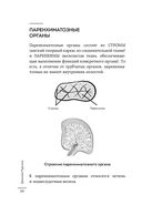 Как понять свой ЖКТ. Распознать симптомы, снизить тревогу, предупредить опасные заболевания — фото, картинка — 22