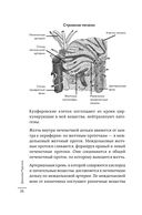 Как понять свой ЖКТ. Распознать симптомы, снизить тревогу, предупредить опасные заболевания — фото, картинка — 24