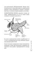 Как понять свой ЖКТ. Распознать симптомы, снизить тревогу, предупредить опасные заболевания — фото, картинка — 25