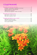 Лучшие цветы. Сажаем на солнце и в тени — фото, картинка — 2