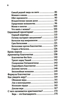 Лабиринты благочестия — фото, картинка — 2