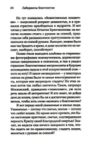 Лабиринты благочестия — фото, картинка — 13