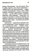 Лабиринты благочестия — фото, картинка — 18