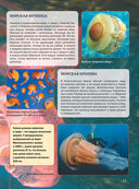 Подводный мир — фото, картинка — 11