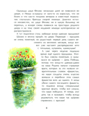 Нюша и Самый Главный Герой — фото, картинка — 1