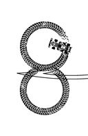 Безымянные — фото, картинка — 5