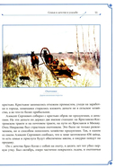 Н. А. Некрасов и Л. Н. Толстой. Выше своих писаний... — фото, картинка — 10