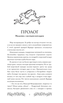 Брусничное Солнце — фото, картинка — 5