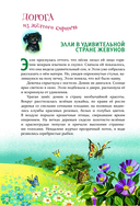 Волшебник Изумрудного города — фото, картинка — 10