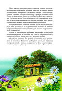 Волшебник Изумрудного города — фото, картинка — 11