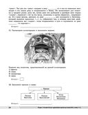 История. Универсальный справочник. ОГЭ — фото, картинка — 24