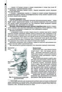 Руководство по экстренной и неотложной медицинской помощи на догоспитальном этапе для врачей и фельдшеров — фото, картинка — 25