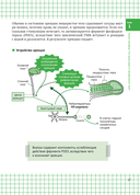 Химия вокруг нас — фото, картинка — 13