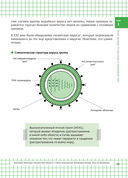 Химия вокруг нас — фото, картинка — 19