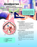 Атлас анатомии в стиле манга — фото, картинка — 6