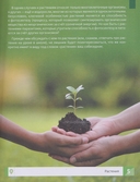 Растения — фото, картинка — 1