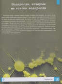 Растения — фото, картинка — 2