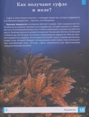 Растения — фото, картинка — 3