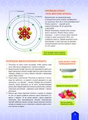 Химические элементы — фото, картинка — 7