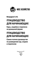 Птицеводство для начинающих. Куры, индейки и перепела на домашней ферме — фото, картинка — 1