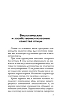 Птицеводство для начинающих. Куры, индейки и перепела на домашней ферме — фото, картинка — 5