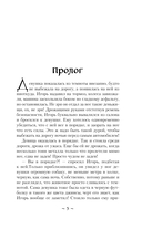 Казаки-разбойники — фото, картинка — 5