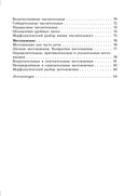 Справочник по русскому языку в схемах и таблицах. 6 класс — фото, картинка — 3