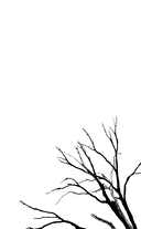 Как тебя зовут — фото, картинка — 1