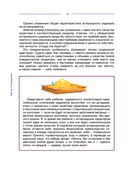 Методика 7 радикалов. Особенности характеров — фото, картинка — 26