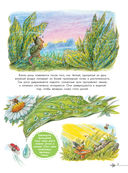 Чудеса природы. 50 историй в картинках для детей — фото, картинка — 9