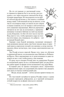 Рольф в лесах. Лесные рассказы — фото, картинка — 12