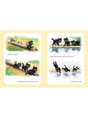 Золотая классика детской литературы — фото, картинка — 8