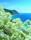 Кухня народов России. Живое тепло кулинарных традиций — фото, картинка — 2