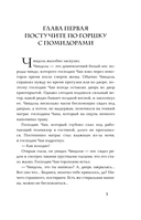 Прачечная, стирающая печали — фото, картинка — 11