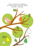 Фрукты и овощи. Рисуем пальчиками. Раскраска с заданиями — фото, картинка — 6