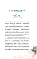 Хоопонопоно. Практика прощения и принятия — фото, картинка — 5