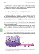 Основы клинической цитологии — фото, картинка — 11