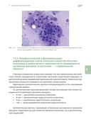 Основы клинической цитологии — фото, картинка — 12