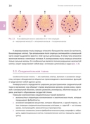 Основы клинической цитологии — фото, картинка — 5