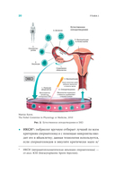 Желанный ребенок — фото, картинка — 19